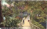 Beardsley Park: The Rustic Bridge