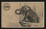 Trade card: Set of nine trade cards featuring Jumbo the Elephant (card 7)