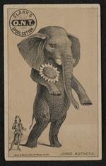 Trade card: Set of nine trade cards featuring Jumbo the Elephant (card 4)