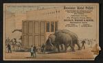 Trade cards: Set of four trade cards featuring Jumbo the elephant by J.H. Bufford's Sons (card 2)