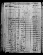 Census of the United States (1880)