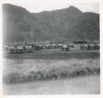 Jeep motor pool,49,"Korea, area of 38th parallel","Peter Anthony (standing), two tent buddies",unknown,unknown,"Jeep motor pool;Korea, area of 38th parallel;Peter Anthony (standing), two tent buddies; unknown; Photograph by unknown"