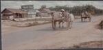 Road in  Cu Chi; Cu Chi, Vietnam; all unknown;  1966-1967;  Photograph by unknown