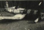 US plane shot down 1950