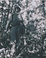 Lieutenant Keith Hook (of New Haven, CT); wearing a pair of Japanese glasses, having lost his own; New Georgia, Solomon Islands; photograph taken by the U.S. Army Signal Corps