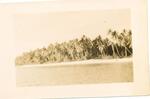 Island next to Kwajalein 1944-45