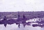Patroling a bomb crater. All unknown; Vietnam; 02/10/1969-02/08/1970