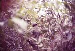 Patroling with AVRN Rangers; Vietnam; 02/10/1969-02/08/1970
