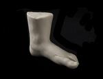 Physical object: Replica Foot of Charles S. Stratton (Gen. Tom Thumb) (side view)