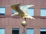 Structure: Barnum Institute of Science and History, Eagle that sits atop dome
