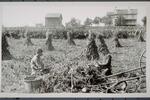Farm scene, with men husking corn